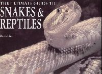 Snakes & Reptiles (Chunky P/B) 