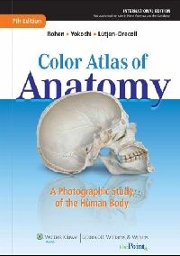 Rohen Color Atlas of Anatomy: A Photographic Study of the Human Body, International Edition (  :    , 7e) 