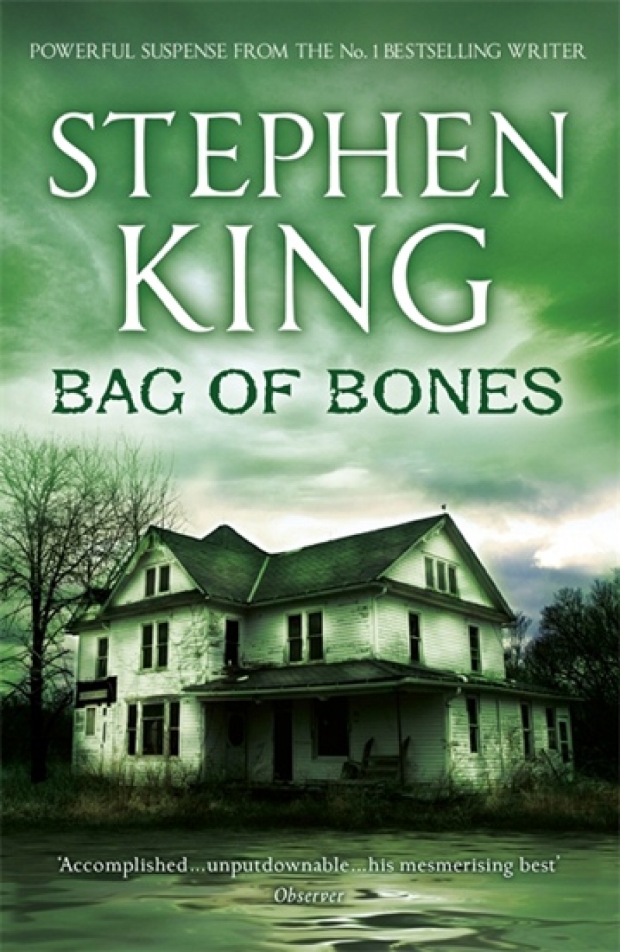 Stephen King Bag of bones (  ) 