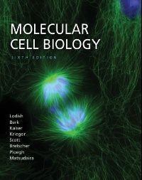 Harvey Lodish; Arnold Berk; Chris A. Kaiser Molecular Cell Biology 6 ed. HB (  . 6  2007) 
