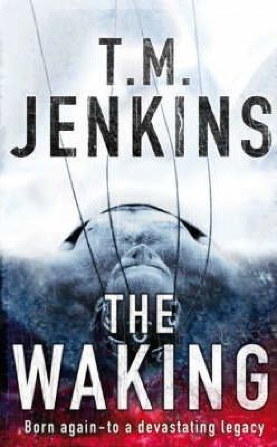 Jenkins T M, The Waking 
