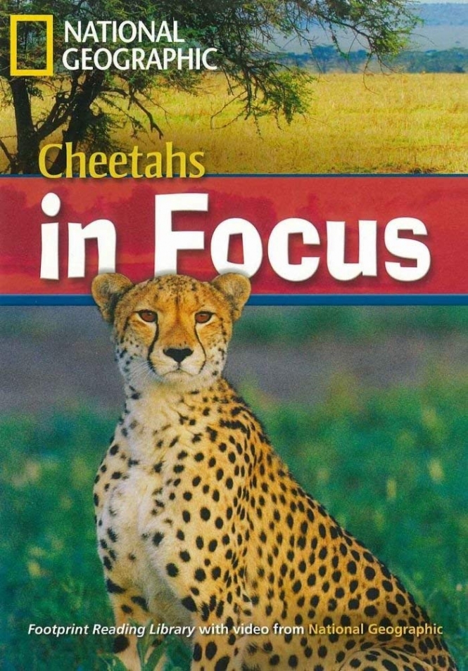 Footprint Reading Library 2200 - Cheetahs In Focus 