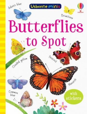Kate Nolan Butterflies to Spot 