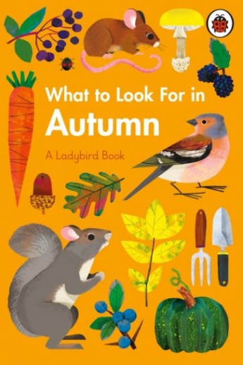 Jenner, Elizabeth What to Look For in Autumn 