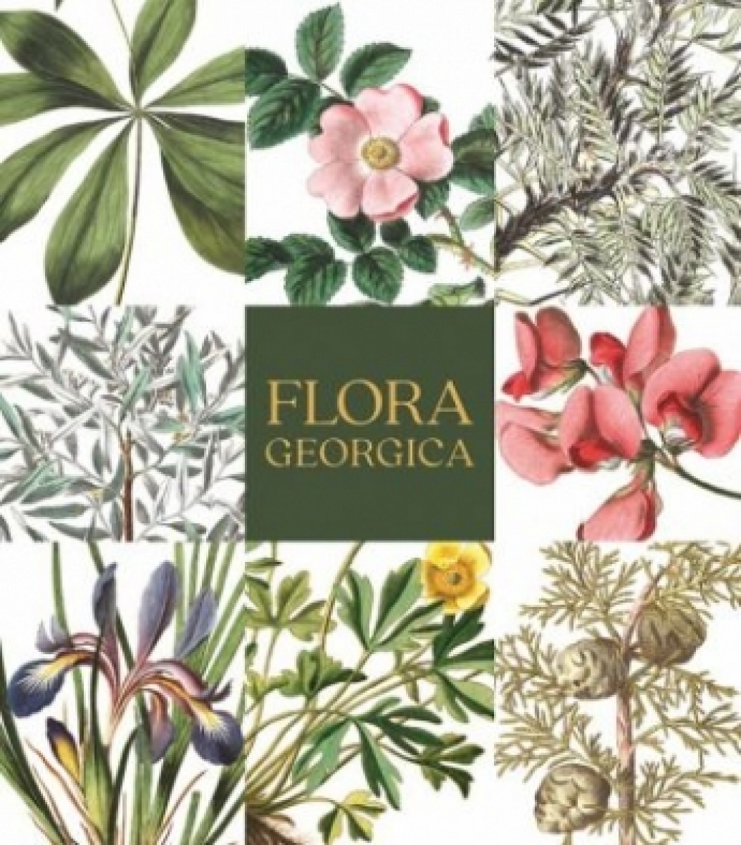   Flora Georgica.    