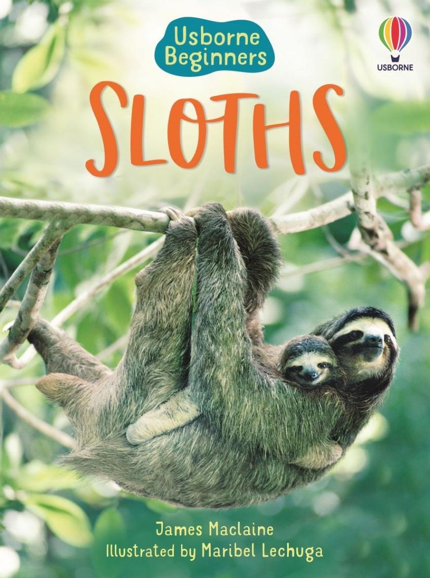 James Maclaine Usborne Beginners Sloths 
