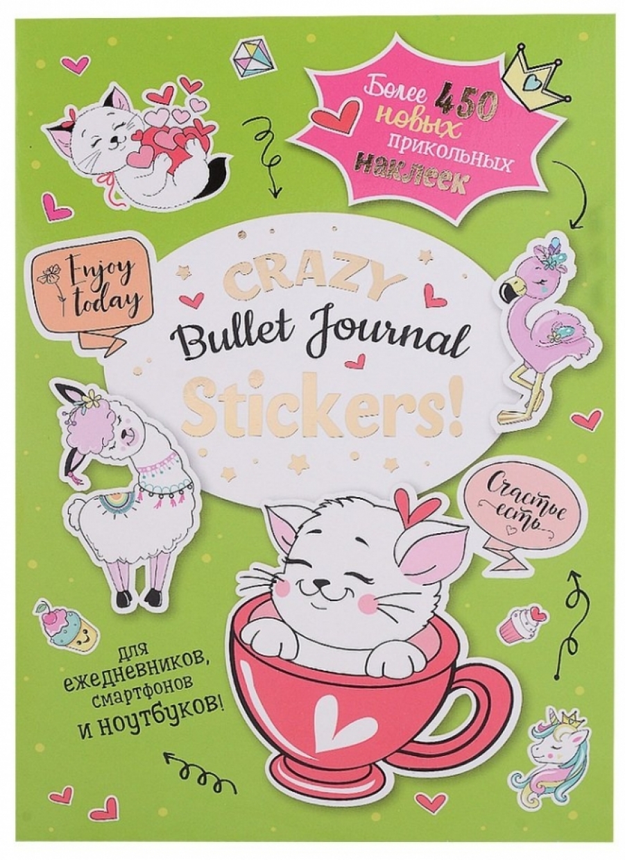  .  Crazy Bullet Journ6al Stickers 
