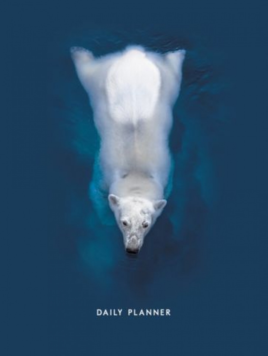   Polar bear, 6, 128  