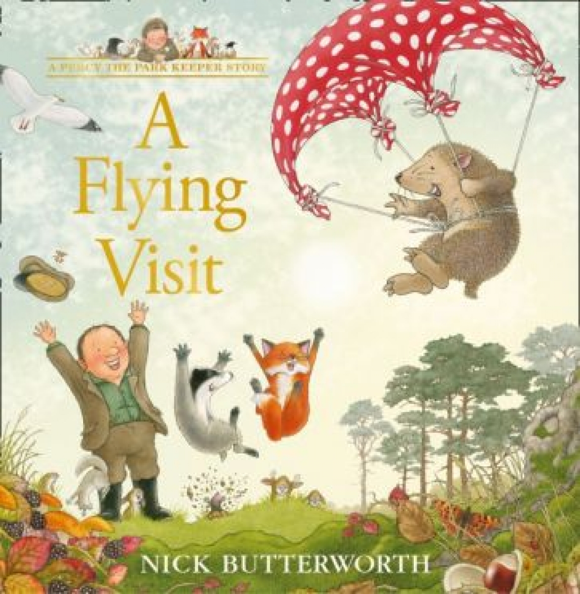 Butterworth Nick A Flying Visit 
