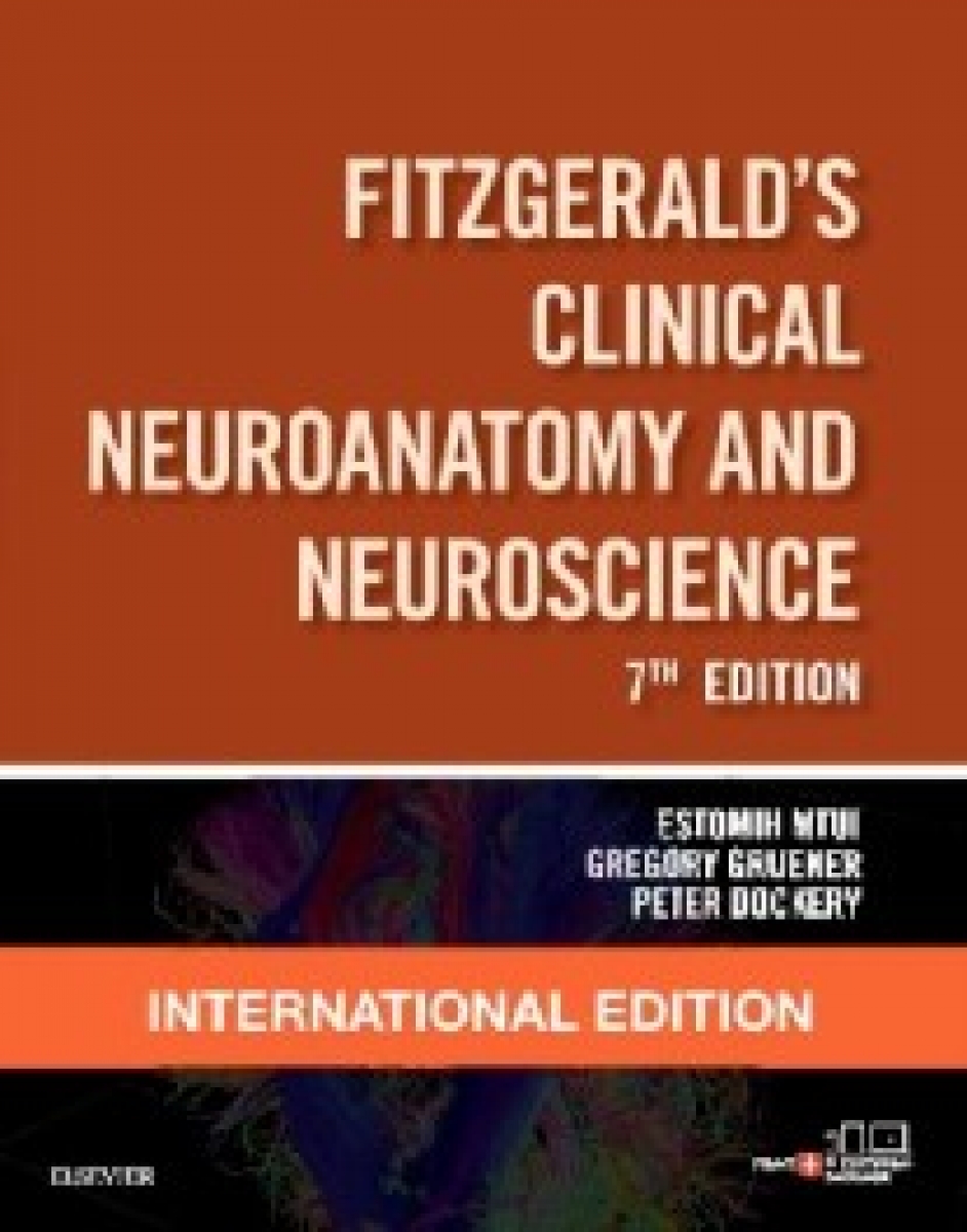 Mtui, Estomih Gruener, Gregory Dockery, Peter Fitz Fitzgerald'S Clinical Neuroanatomy And Neuroscience 6Eie 