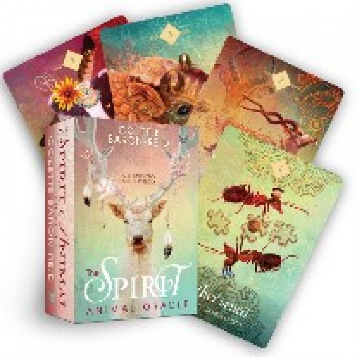 Colette, Baron Reid The Spirit Animal Oracle: A 68-Card Deck - Animal Spirit Cards with Guidebook 