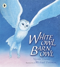 Nicola, Davies White Owl, Barn Owl  +D 