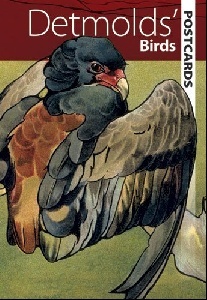 Dover Detmolds' Birds Postcards 