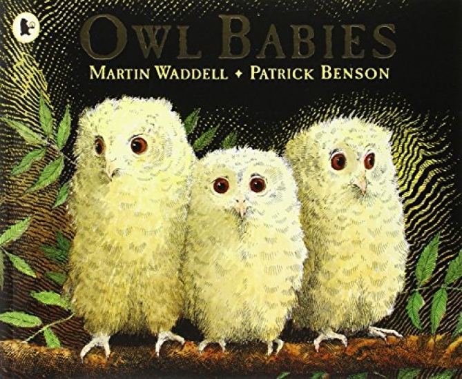 Martin, Waddell Owl Babies 