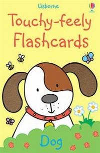 Fiona Watt Touchy-feely flashcards 
