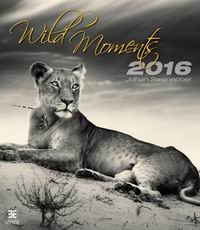 Wild Moments 2016 /   