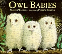 Martin, Waddell Owl Babies Board Book 