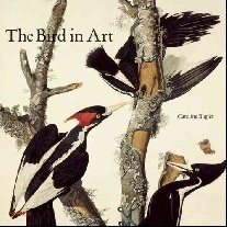 Bugler Caroline The Bird in Art 