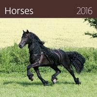 Horses 2016 /  