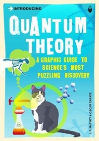 J P.M.A.O.Z. Introducing Quantum Theory : Graphic Guide 