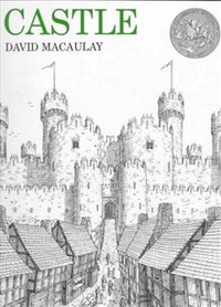 David, Macaulay Castle  (PB) illustr. 