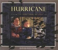 David, Wiesner Hurricane  (PB)  illustr.   +D 