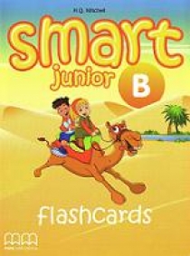 Mitchell H. Q. Smart Junior Level 4 Flashcards 