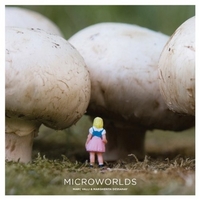 Margherita Dessanay Microworlds 