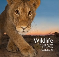 Kidman Cox Rosamund Wildlife Photographer of the Year Portfolio 23 