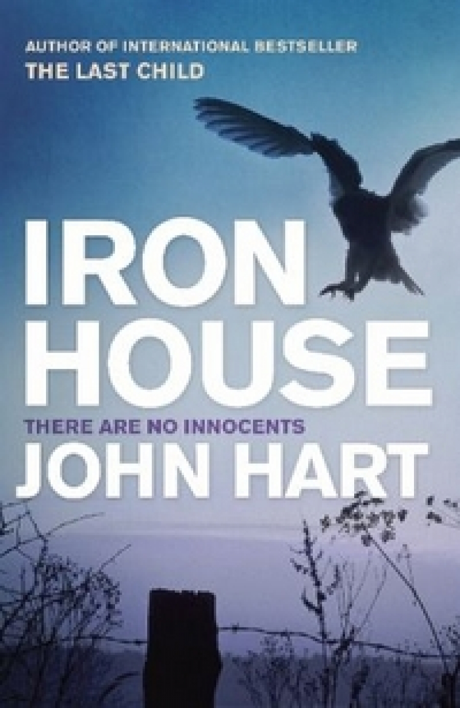 John Hart Iron House 