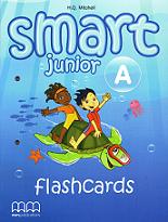Smart Junior Level 3 (A) Flashcards 