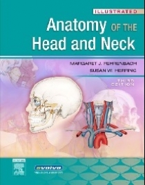 Margaret Fehrenbach Illustrated Anatomy of the Head and Neck 