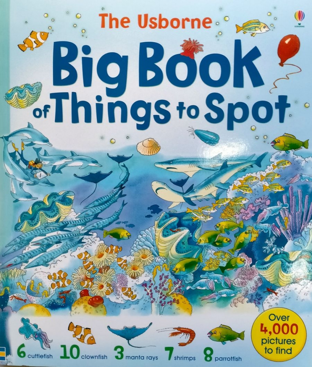Fiona Watt Big Book of Things to Spot 