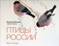  .  . Birds of Russia 