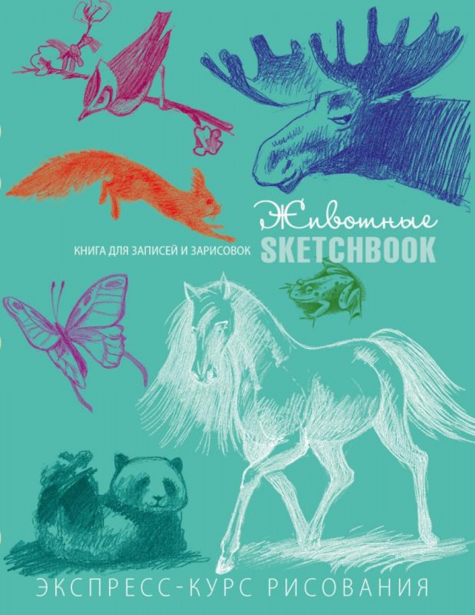 Sketchbook   .   () 