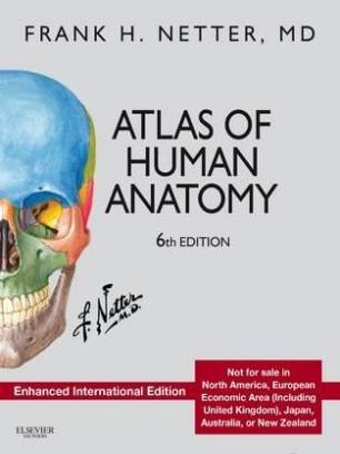 Netter Frank Atlas of Human Anatomy, 6th Edition Enhanced International Edition 