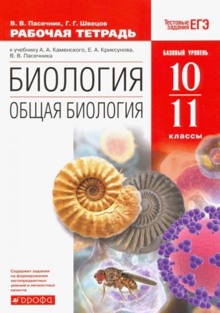  ..,  ..  . 10-11 .  .   (   ) ()  
