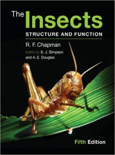 Chapman The Insects 