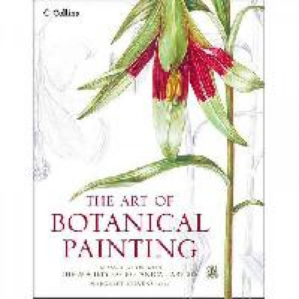 Stevens Margaret Art of Botanical Painting 