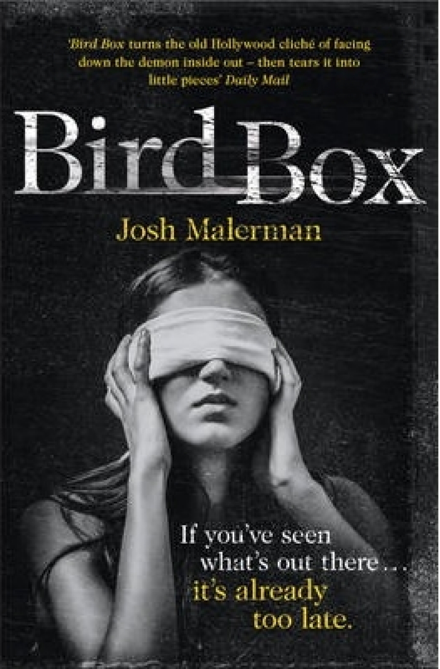 Malerman Josh Bird Box 