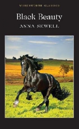 Anna, Sewell Black beauty 