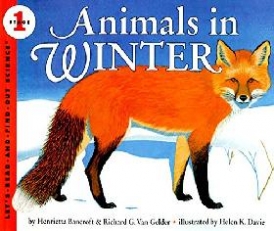 Bancroft, Henrietta Animals in Winter 