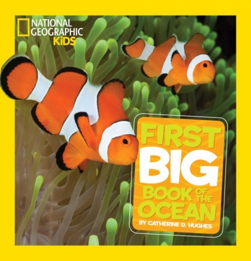 Hughes Catherine D. National Geographic Little Kids First Big Book of the Ocean 