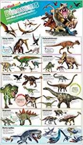 DKfindout! Dinosaurs Poster. Wall Chart 