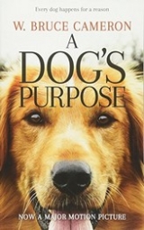 Cameron W.B. A Dog's Purpose 