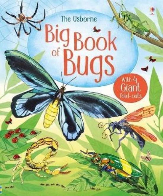 Bone Emily Big Book of Bugs 