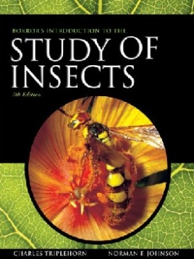 Johnson/Triplehorn Borror's intro study of insects 7e 
