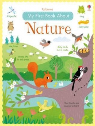 Brooks Felicity My First Book About Nature 