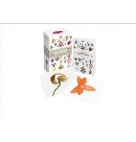 Ivy Press A Box of Orchids: 100 Beautiful Postcards 