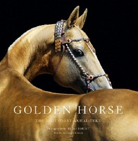 Klimuk Aleksandr Golden Horse 